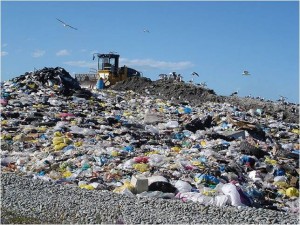 Saying NO To Plastics Is The First Step! Saying NO To Plastics Is The First Step!