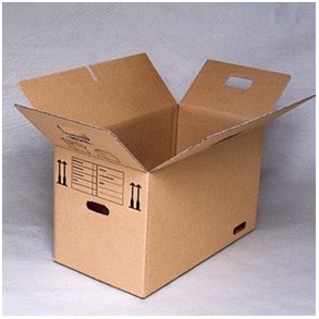 Apartment Complex Essentials - Tips for Organized Moving