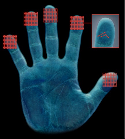 Biometric Attendance systm