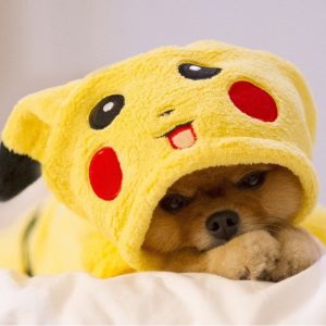 Pikachu-dog-tired