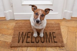 welcome-home-dog