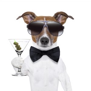 cheers-to-good-decisions