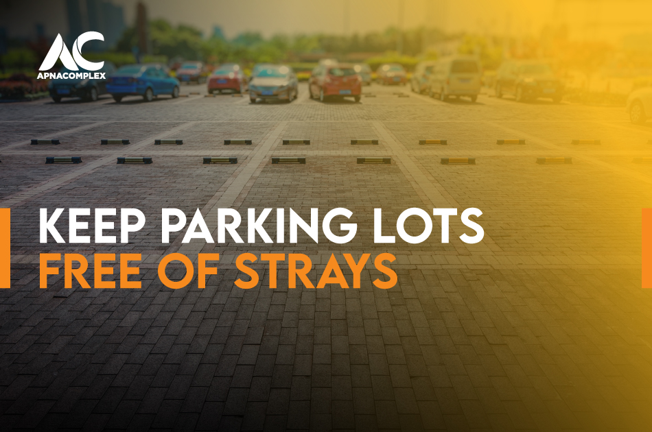 Picture of a parking lot with the text 'Keep Parking Lots free of Strays'