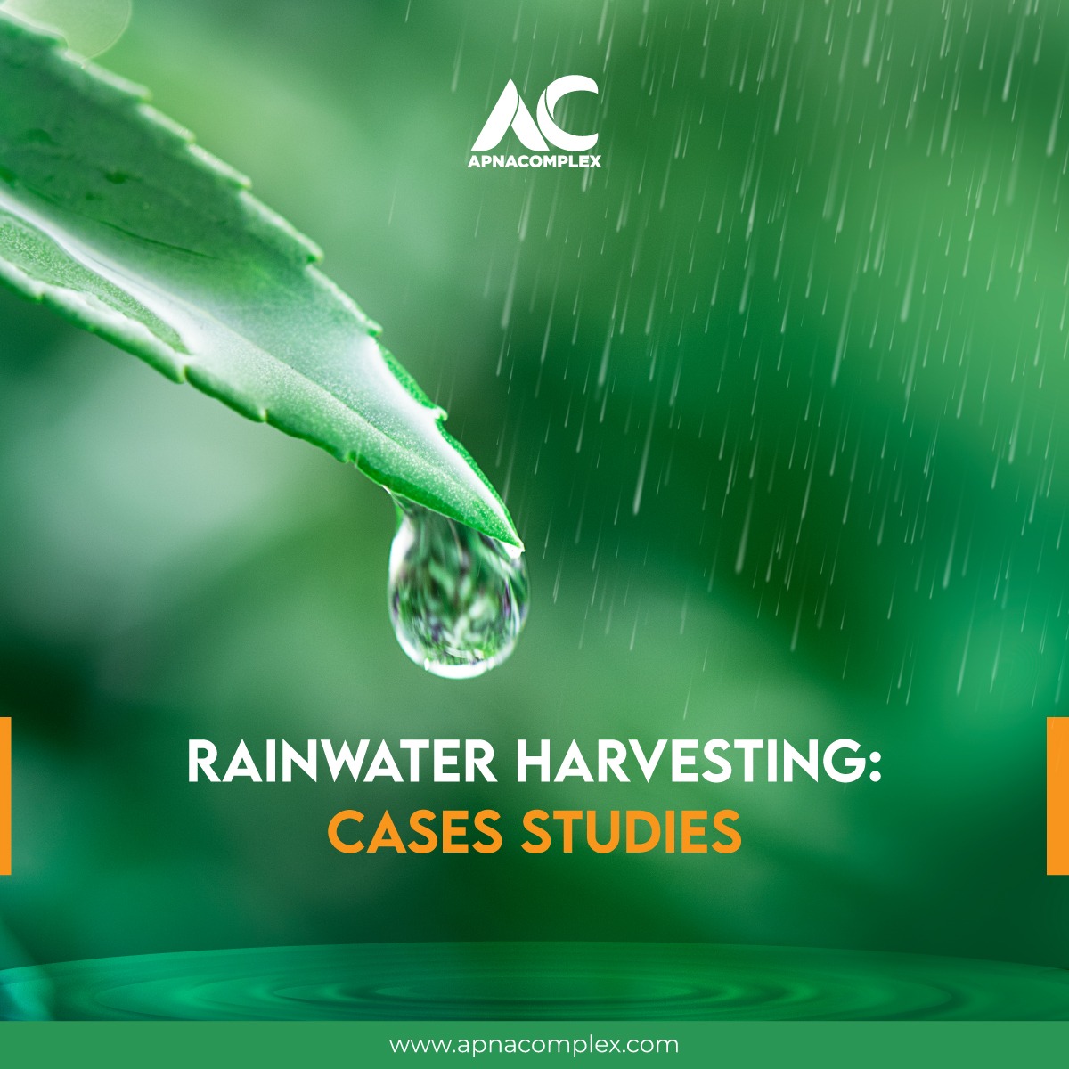 Picture of leaf with dewdrop and text saying "Rainwater Harvesting: Cases Studies"